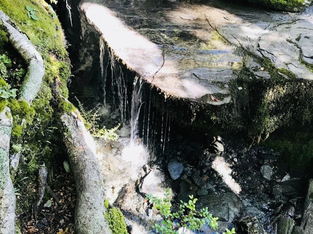 RunAways-Lake Hawea必去景点