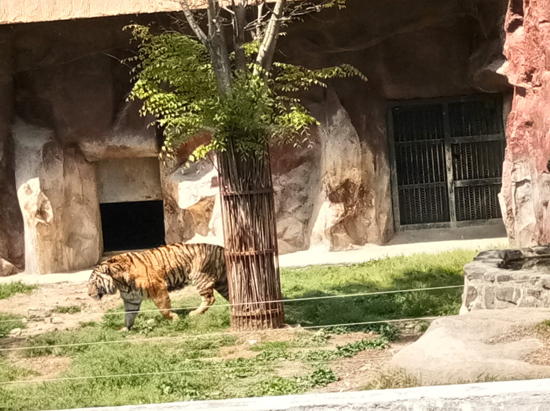 Gwangju Family Land-光州必去景点