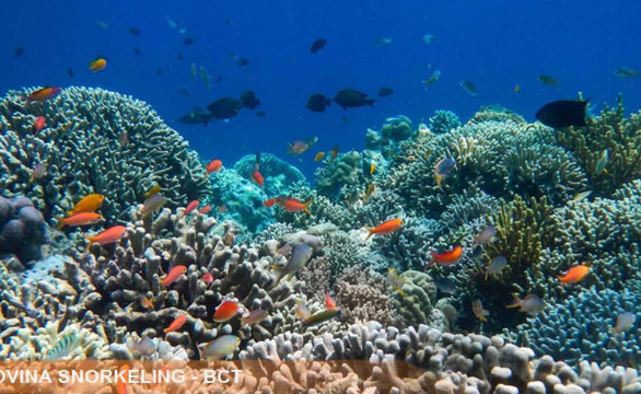 Lovina Taxi Bali-新加拉惹必去景点