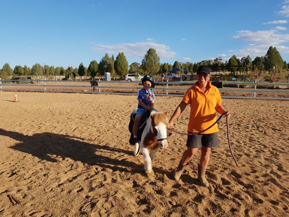 Outback Pony Rides-达博必去景点