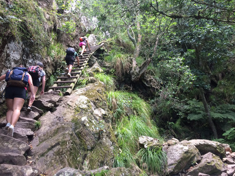 Wild Things Africa-开普敦中心区必去景点