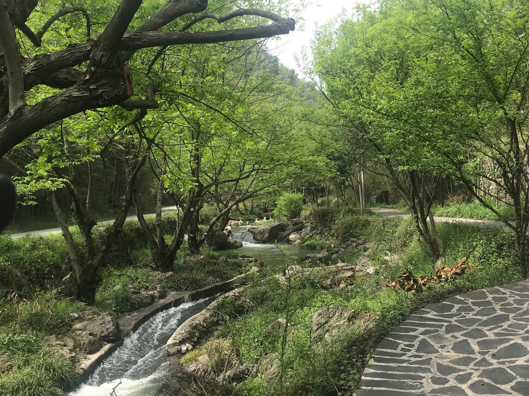 夏霖风景区景点图片