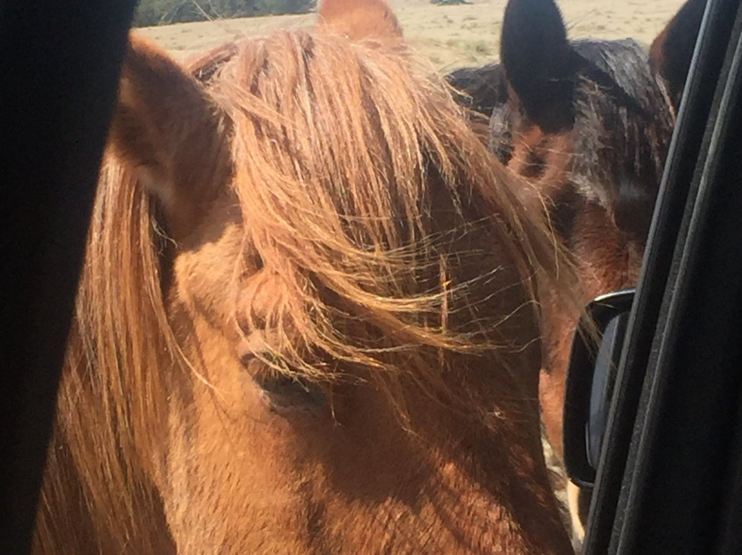 Great Escape-Deer Trail必去景点