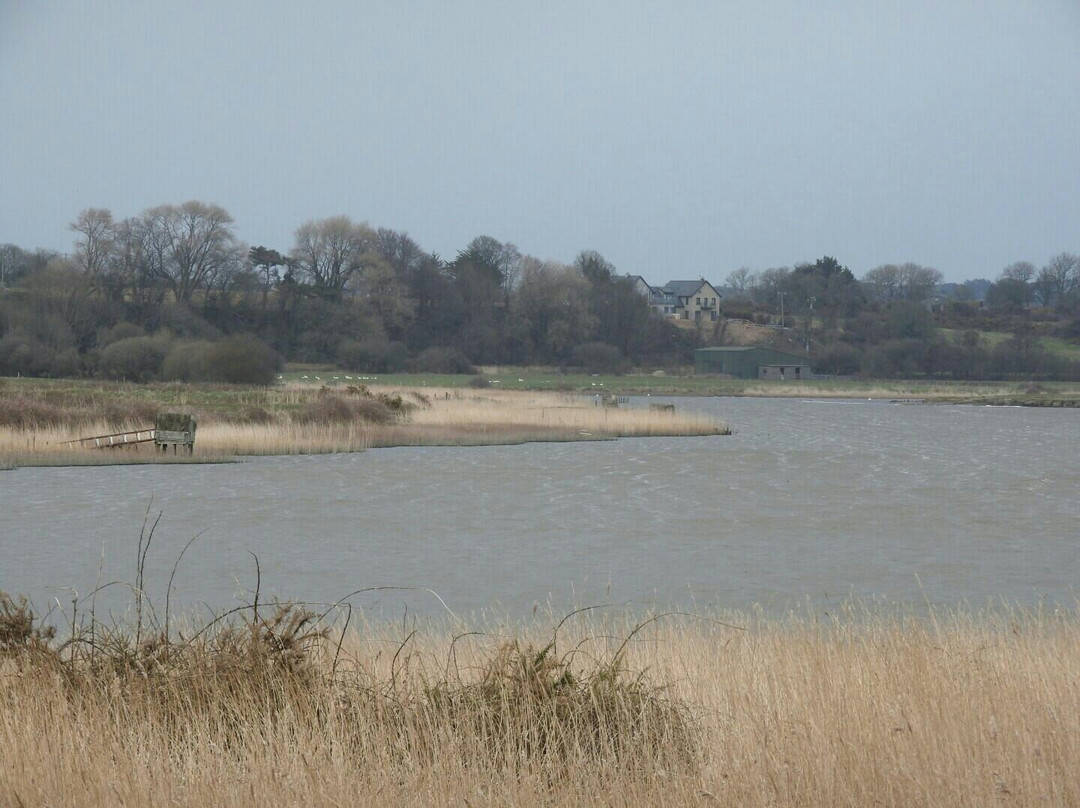 Wexford Wildfowl Reserve-Ardcavan必去景点