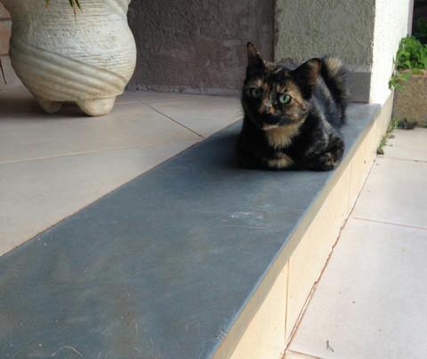 Canto da Montanha主图