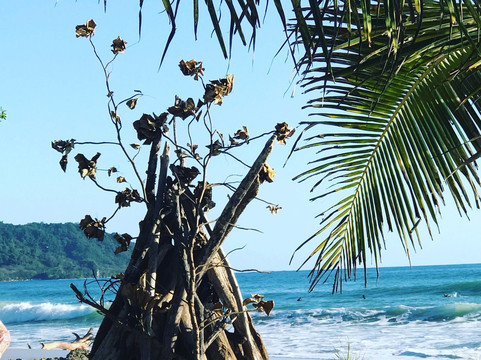 Santa Teresa Travels-圣特雷莎必去景点