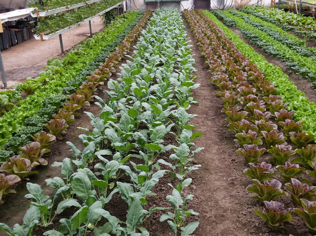 Round The Bend Farm-Kettleby必去景点