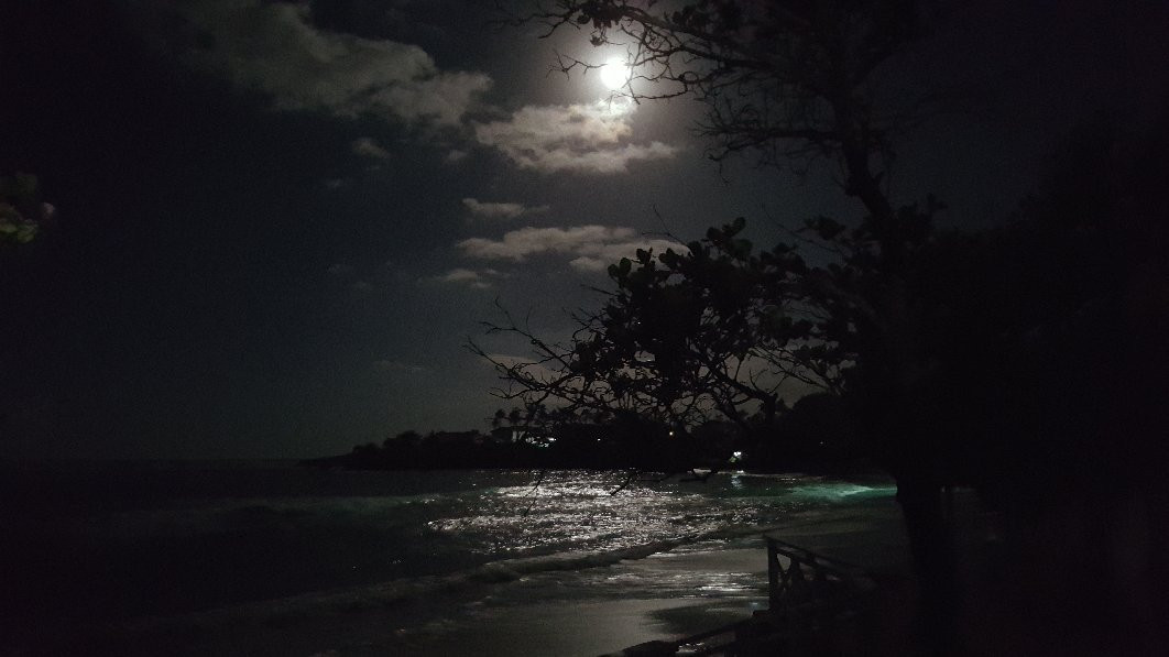 Cofresi Beach-普拉塔港必去景点