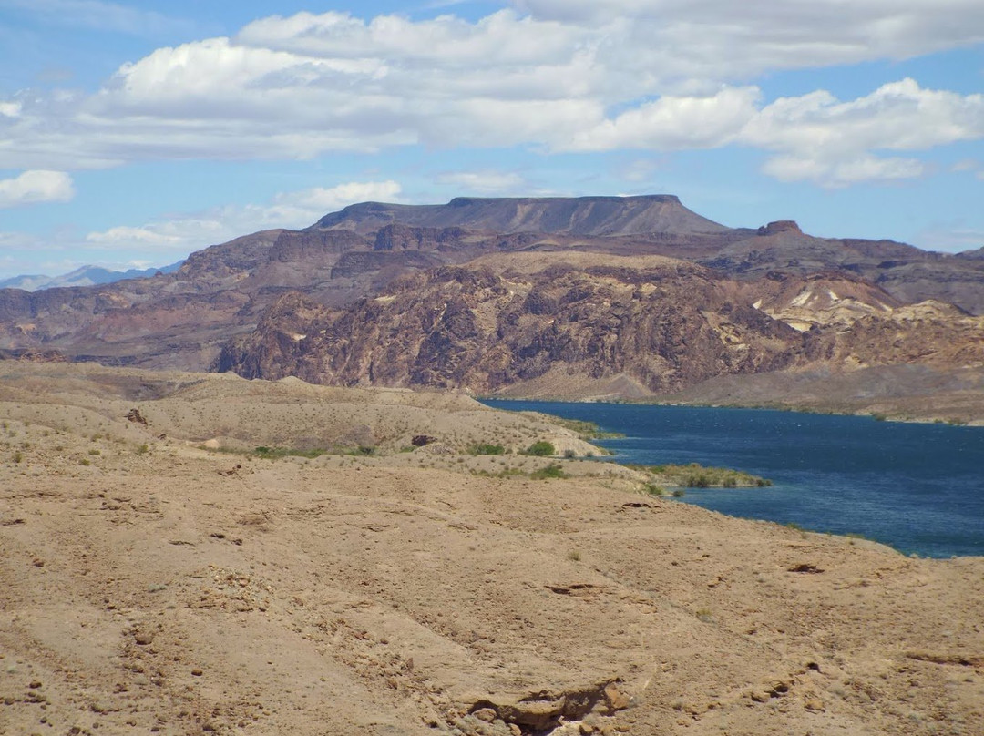 Nelson's Landing-Searchlight必去景点