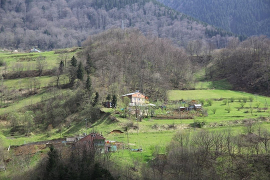 Hamsikoy旅游攻略图片