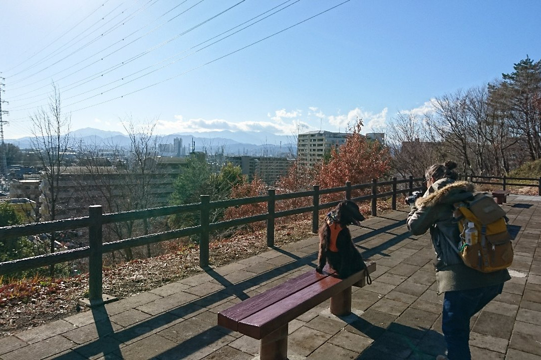 Oyamadairi Park-町田市必去景点