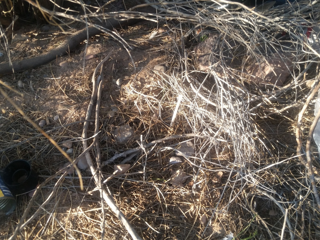 Papago Park-坦佩必去景点