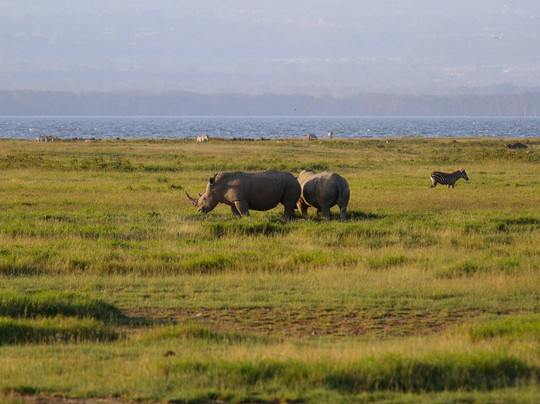 Book Direct Kenya Safaris-蒙巴萨必去景点