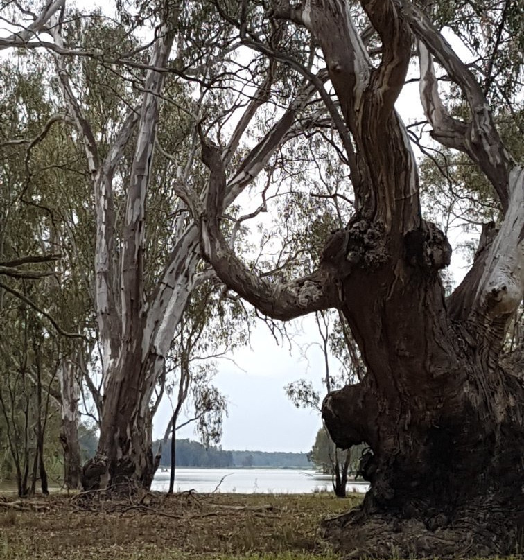 Nathalia餐馆和美食-The Forest Door