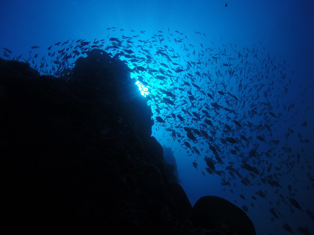 ODC Buceo-Pichidangui必去景点