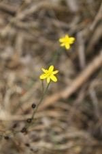 Yanipy Nature Reserve-Kaniva必去景点
