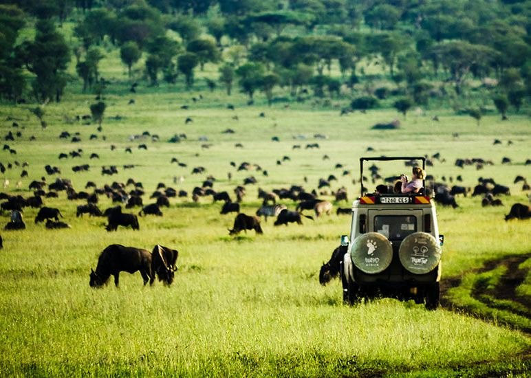 Wayo Africa-阿鲁沙必去景点