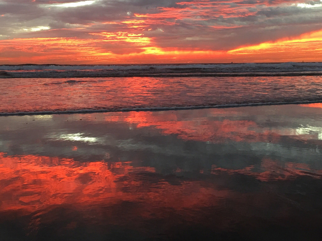 Oceanside Harbor Village-欧申赛德必去景点
