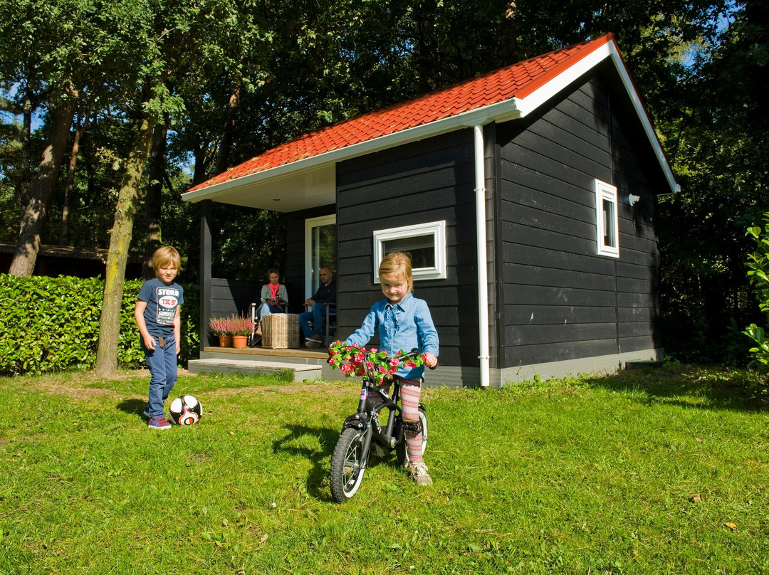 Vakantiepark De Reebok