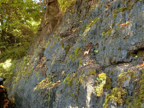 Coal Outcrop-夕张市必去景点