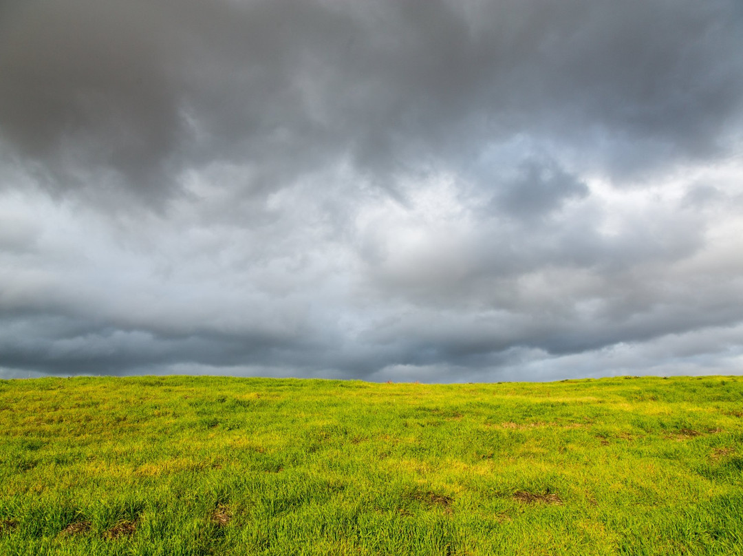 Bedwell Bayfront Park-门洛帕克必去景点