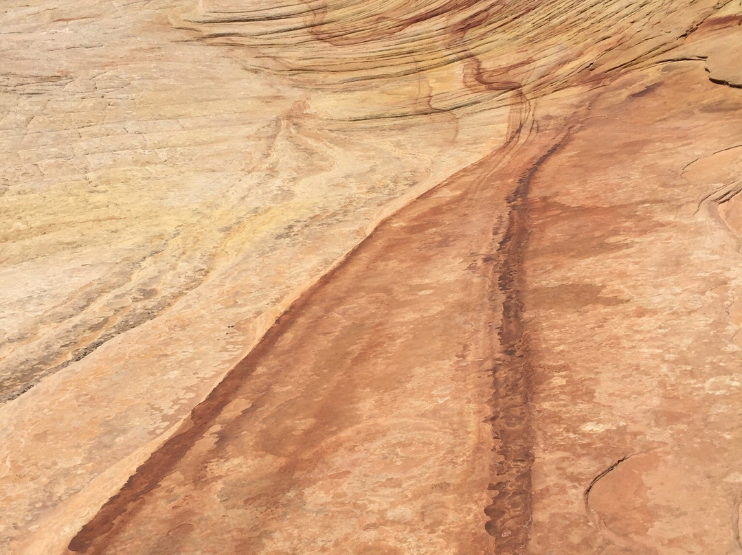 Yellow Rock Trail-卡纳布必去景点