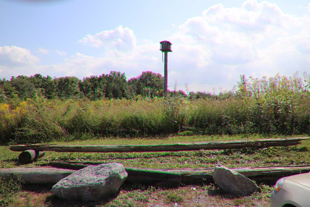 Mel Swart Lake Gibson Conservation Park-Thorold必去景点