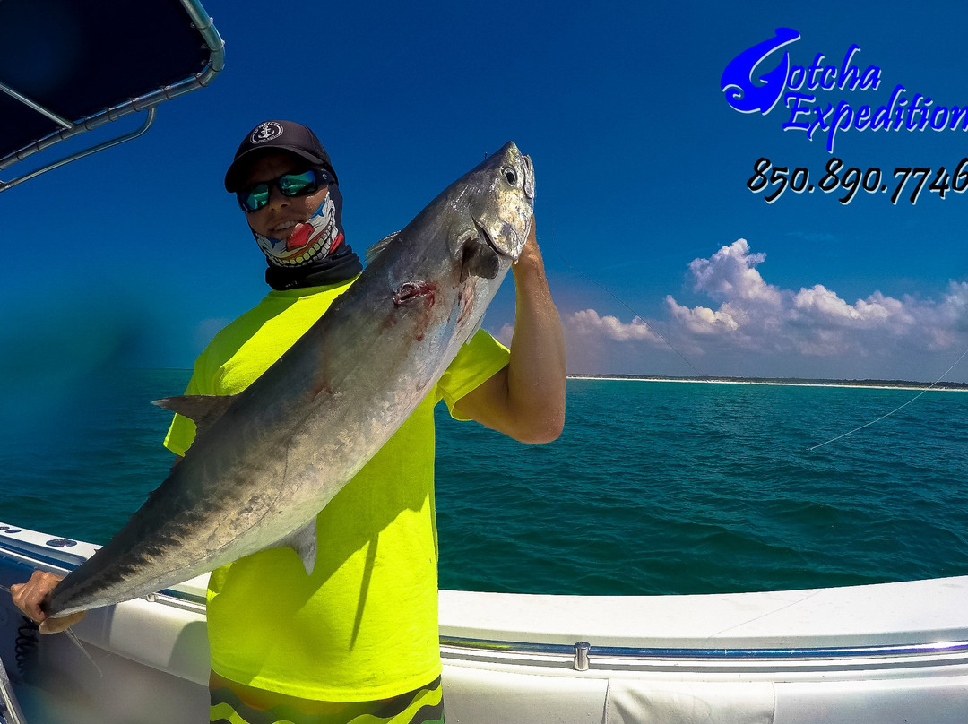 GOTCHA Expeditions-巴拿马城必去景点