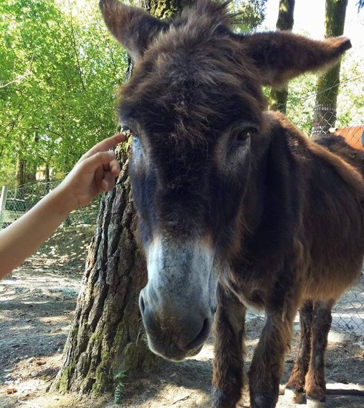 Bioparque景点图片