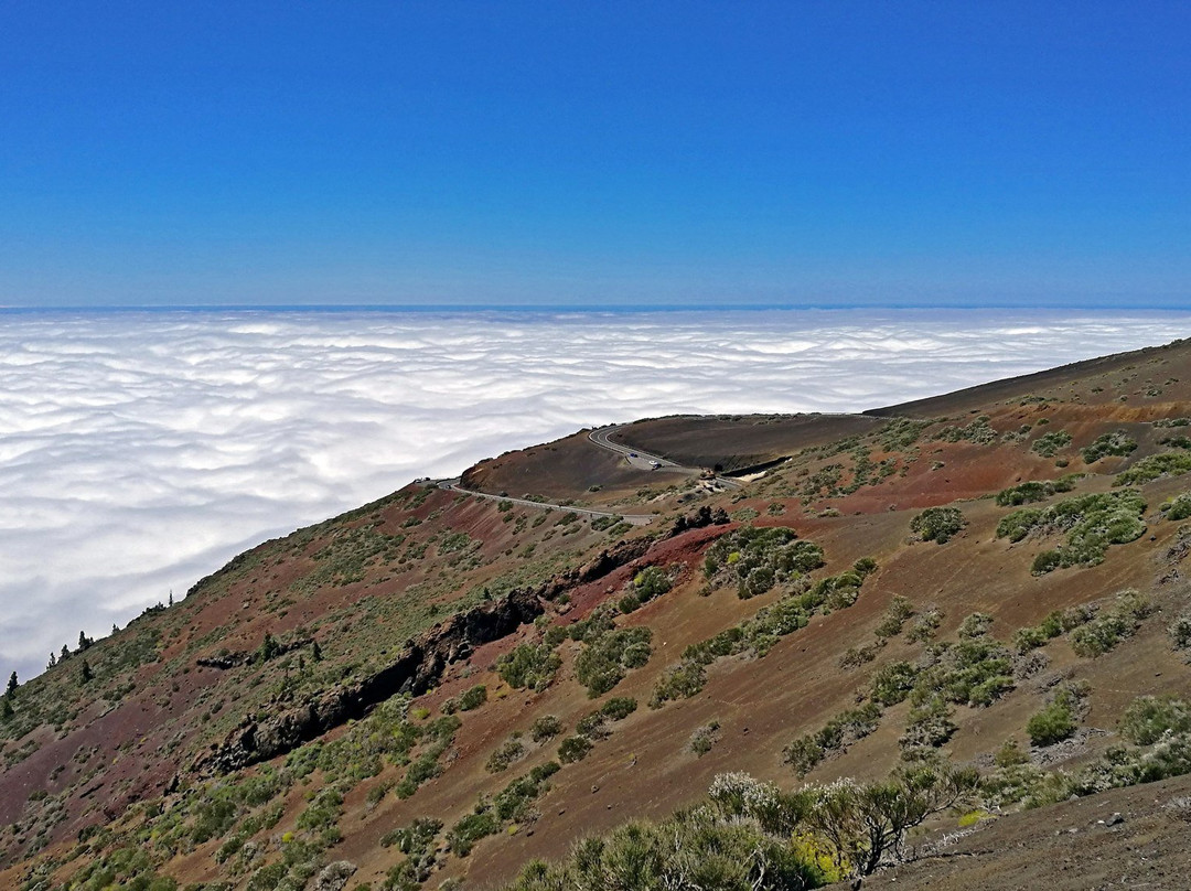 La Tarta del Teide-La Orotava必去景点