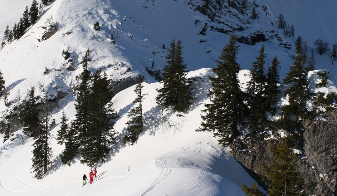 Ski - & Snowboardschule Busslehner景点图片