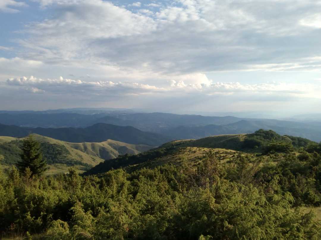 Kopaonik National Park景点图片