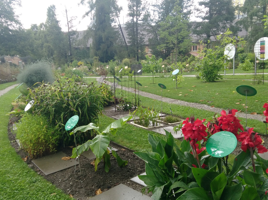 Jardin botanique de l'Université de Fribourg-弗里堡必去景点