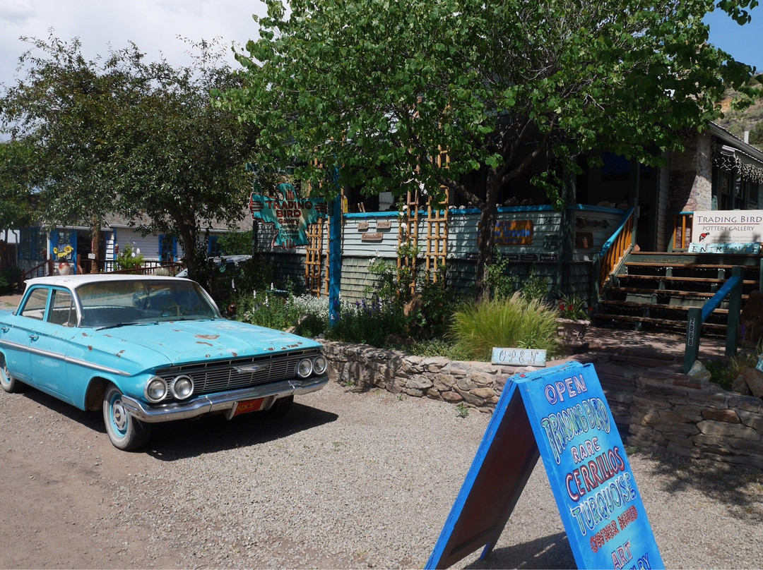 Trading Bird Gallery-Madrid必去景点