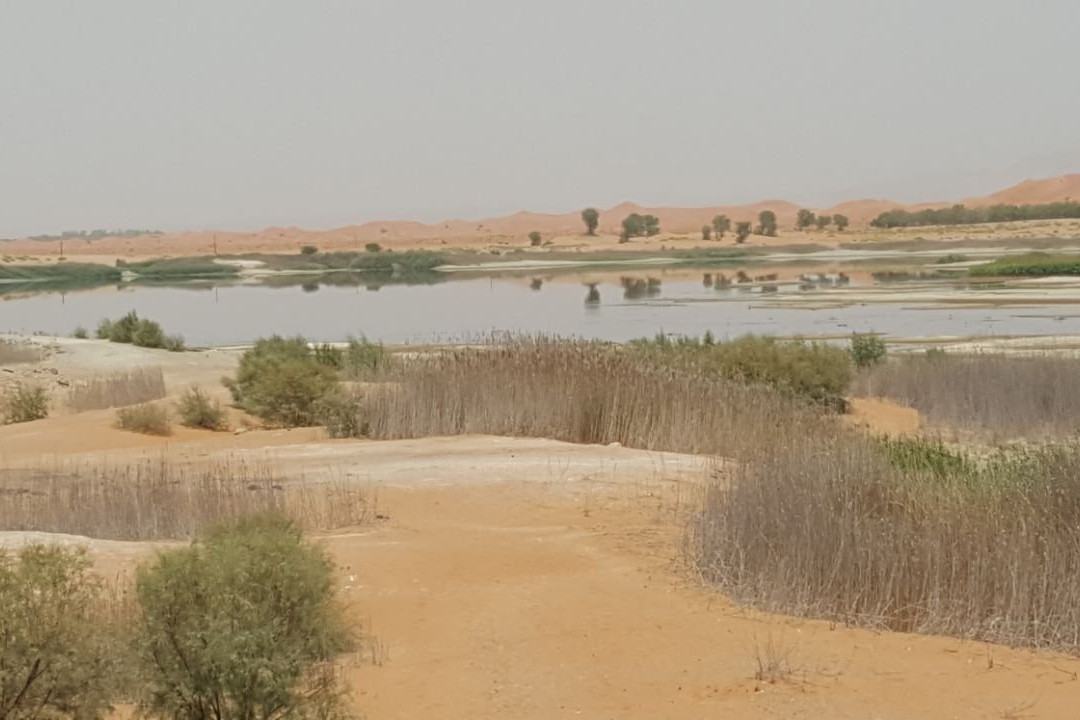 Lake Zakher-艾因市必去景点