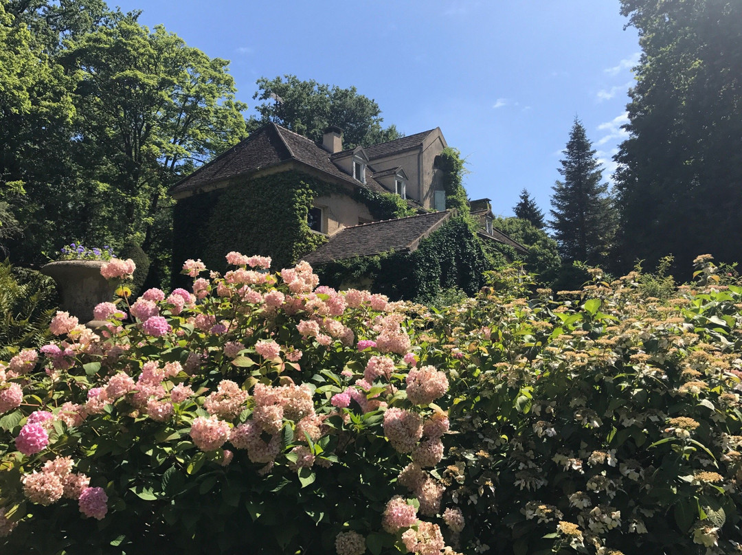 L'ile Verte景点图片