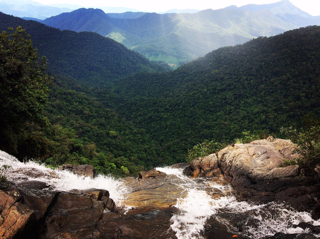 Golden Rice Tours-岘港必去景点