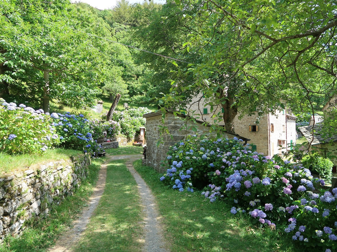Borgo di Tresana景点图片