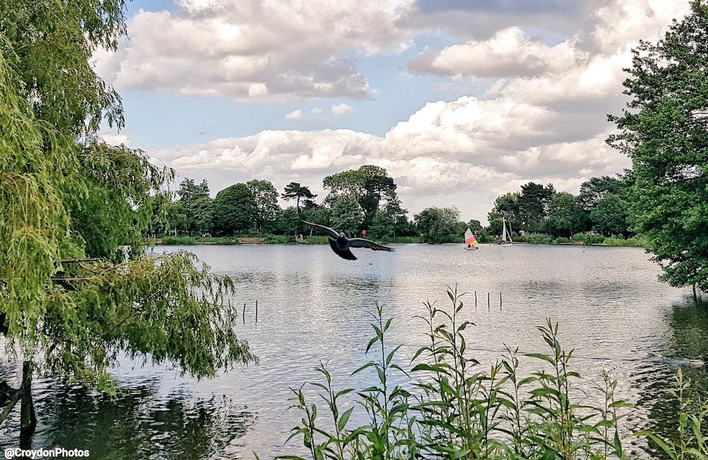 South Norwood Lake and Grounds-伦敦必去景点