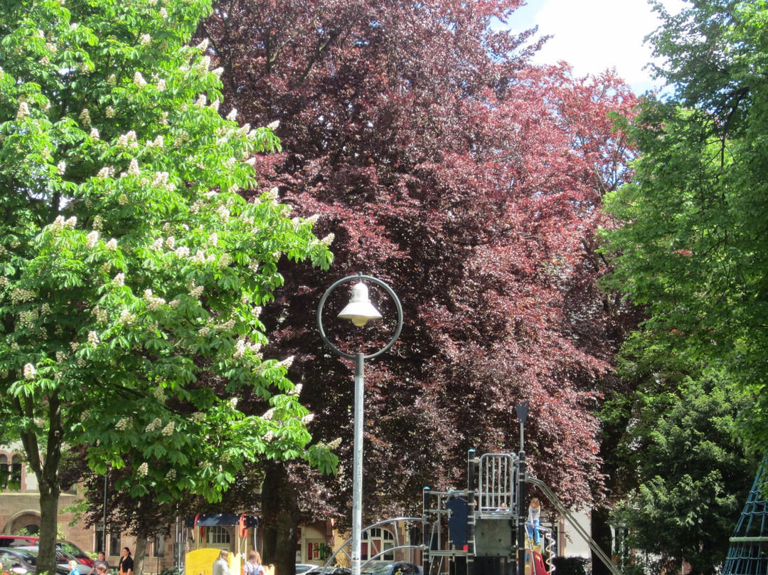 oleofactum-奥芬堡必去景点