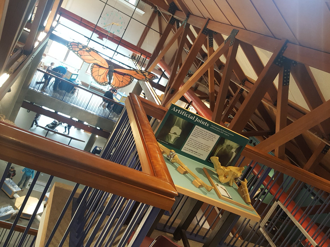 Montshire Museum of Science-Norwich必去景点