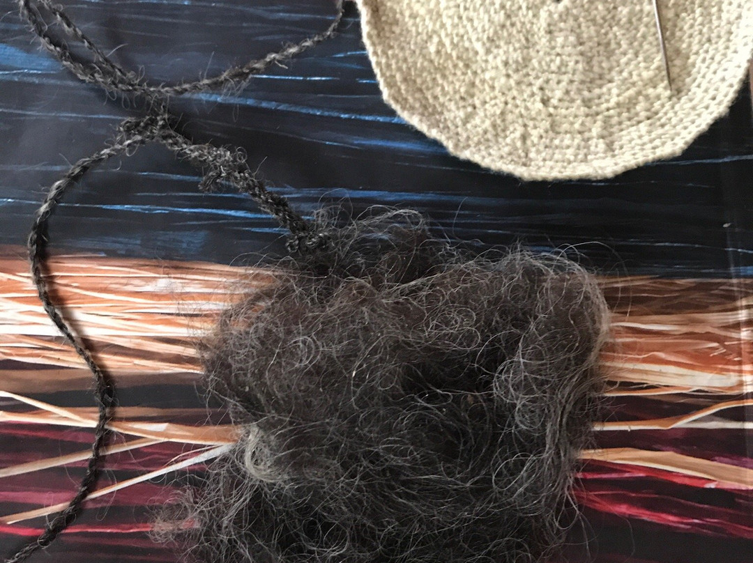 Atánquez-巴耶杜帕尔必去景点