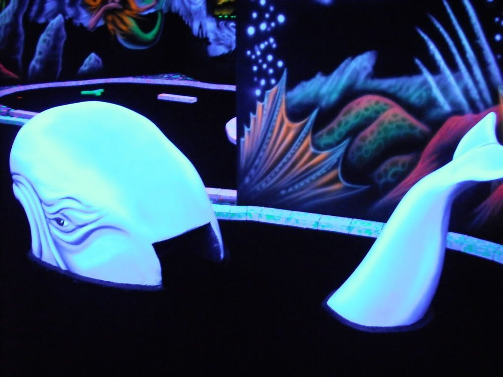 Shankz 3d Black Light Mini Golf And Pizza景点图片