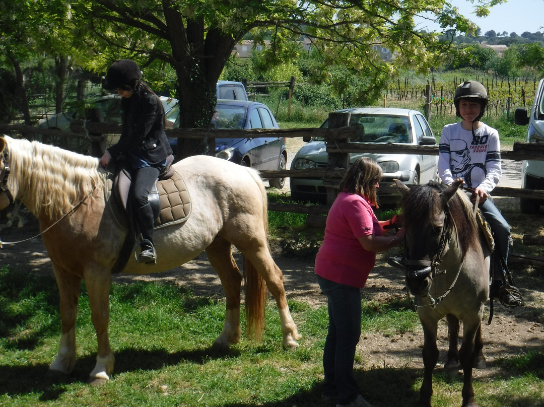 A Cheval Chez Theo
