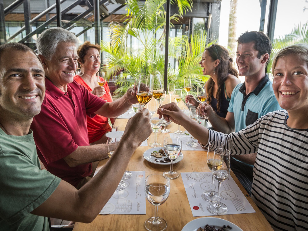 Discover Mexico Park Cozumel-考祖梅必去景点