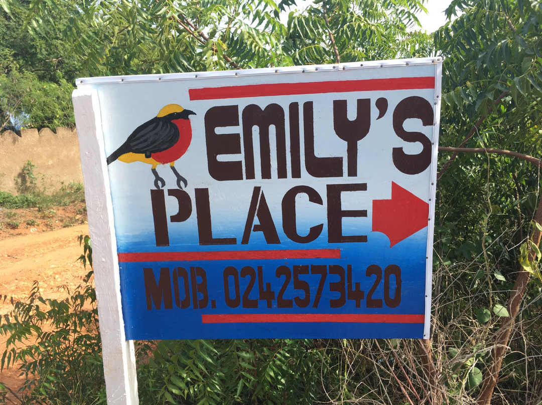 Emily's Place Guesthouse主图