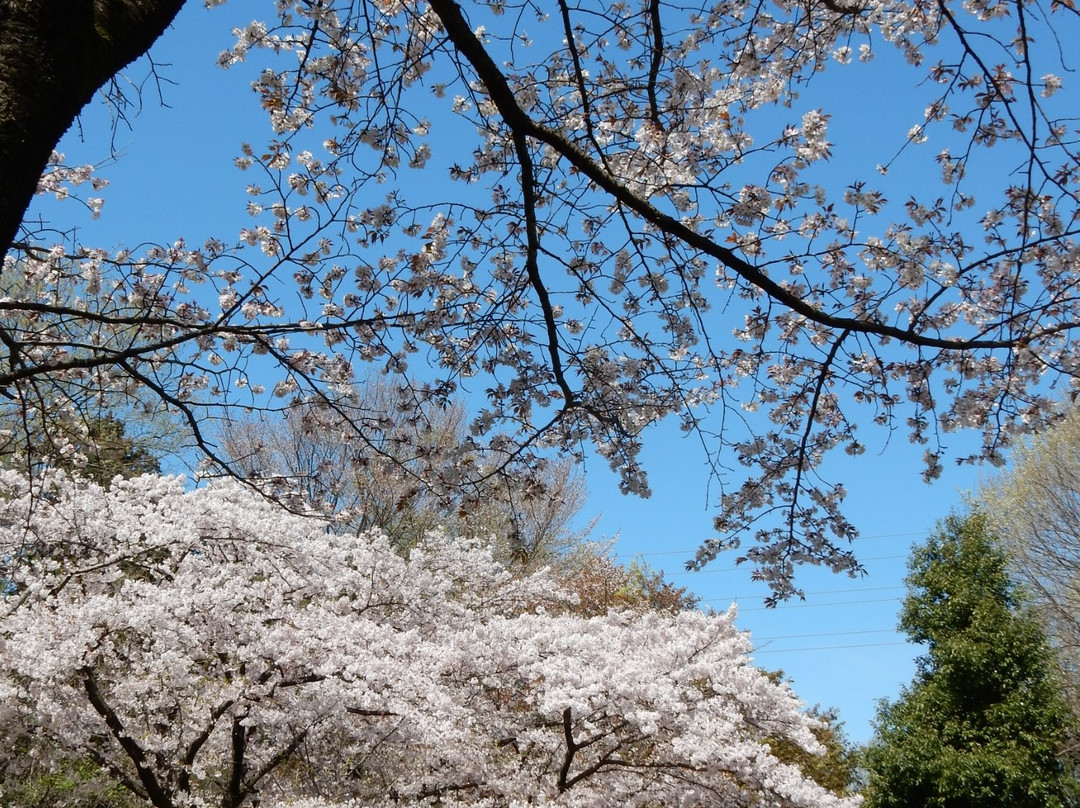 One Street-町田市必去景点
