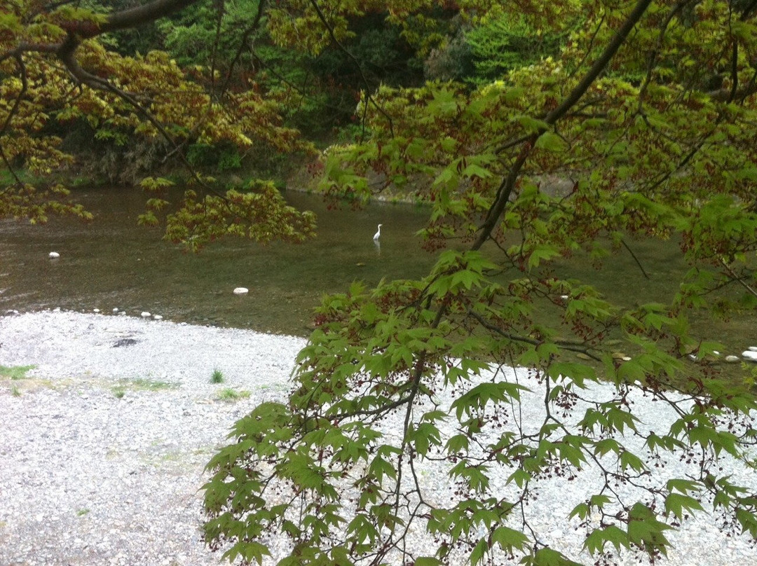 秋江溪谷锦江阁旅馆主图