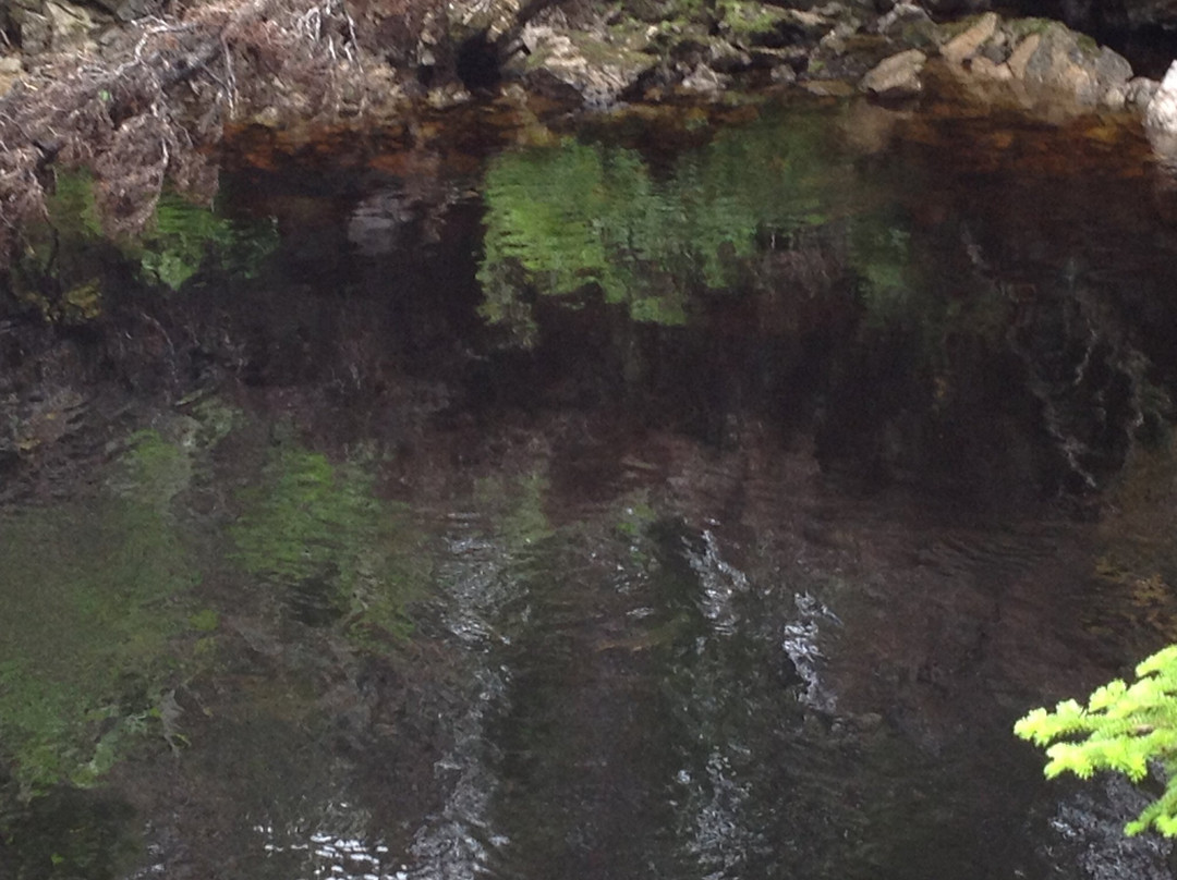 Underground Salmon Pool Trails-Main Brook必去景点
