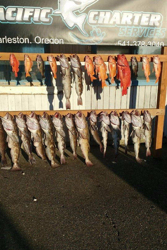 Pacific Charter Services-Charleston必去景点